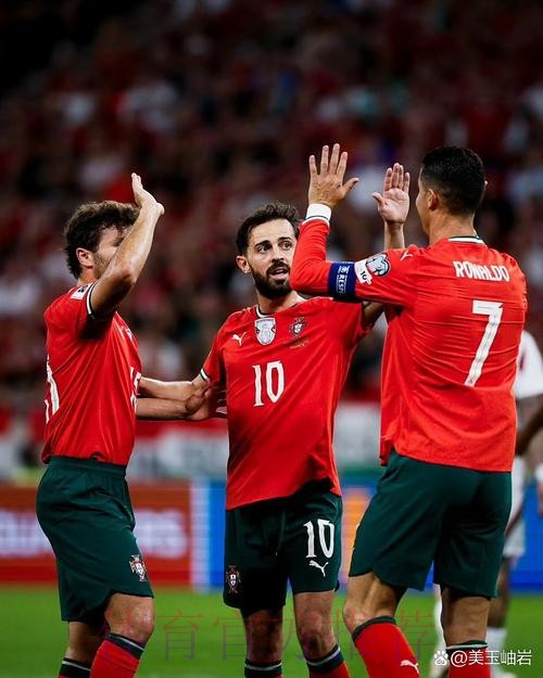 世界杯荷兰C罗比赛解读完整指南 世界杯荷兰C罗比赛解读完整指南